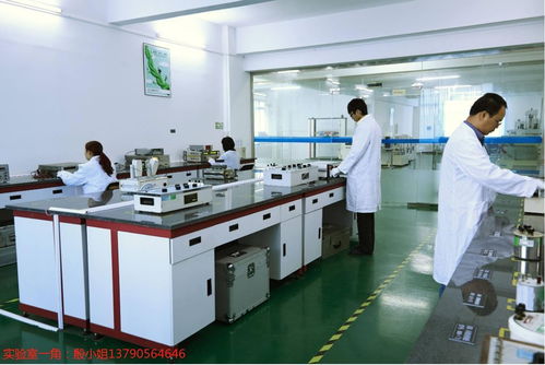 東莞工地設(shè)備計(jì)量校準(zhǔn)下廠服務(wù)、外校與信息咨詢綜合解析