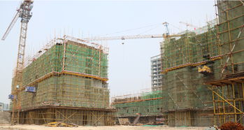 隆基泰和紫金府精品住宅建設(shè)工程施工進(jìn)度一覽